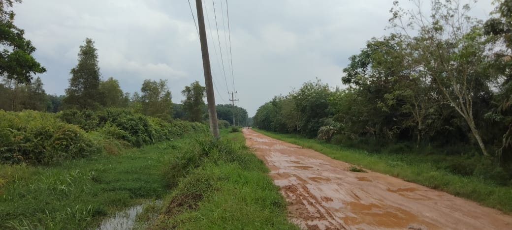 Dijual tanah Jl sukamakmur air batu Banyuasin Palembang (6)
