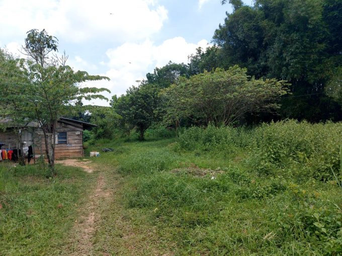 Dijual Tanah Seluas 6000 m² di Jalan Sungai Sedapat Palembang