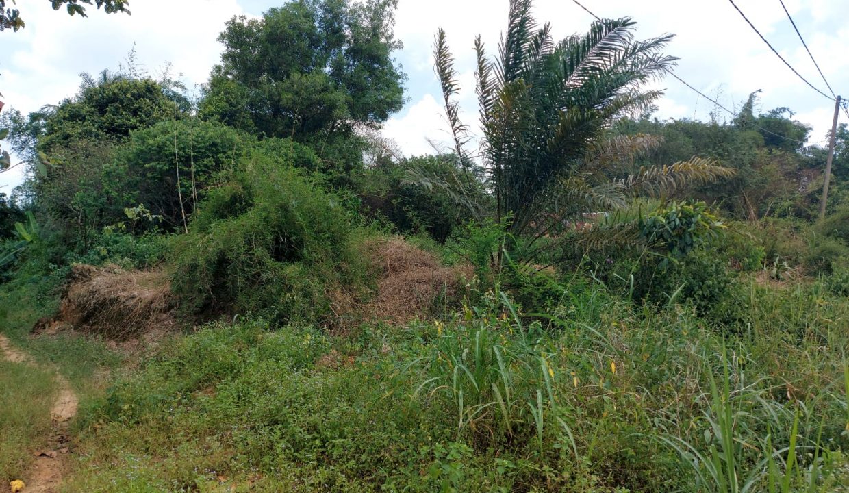Jalan Sungai Sedapat (6)