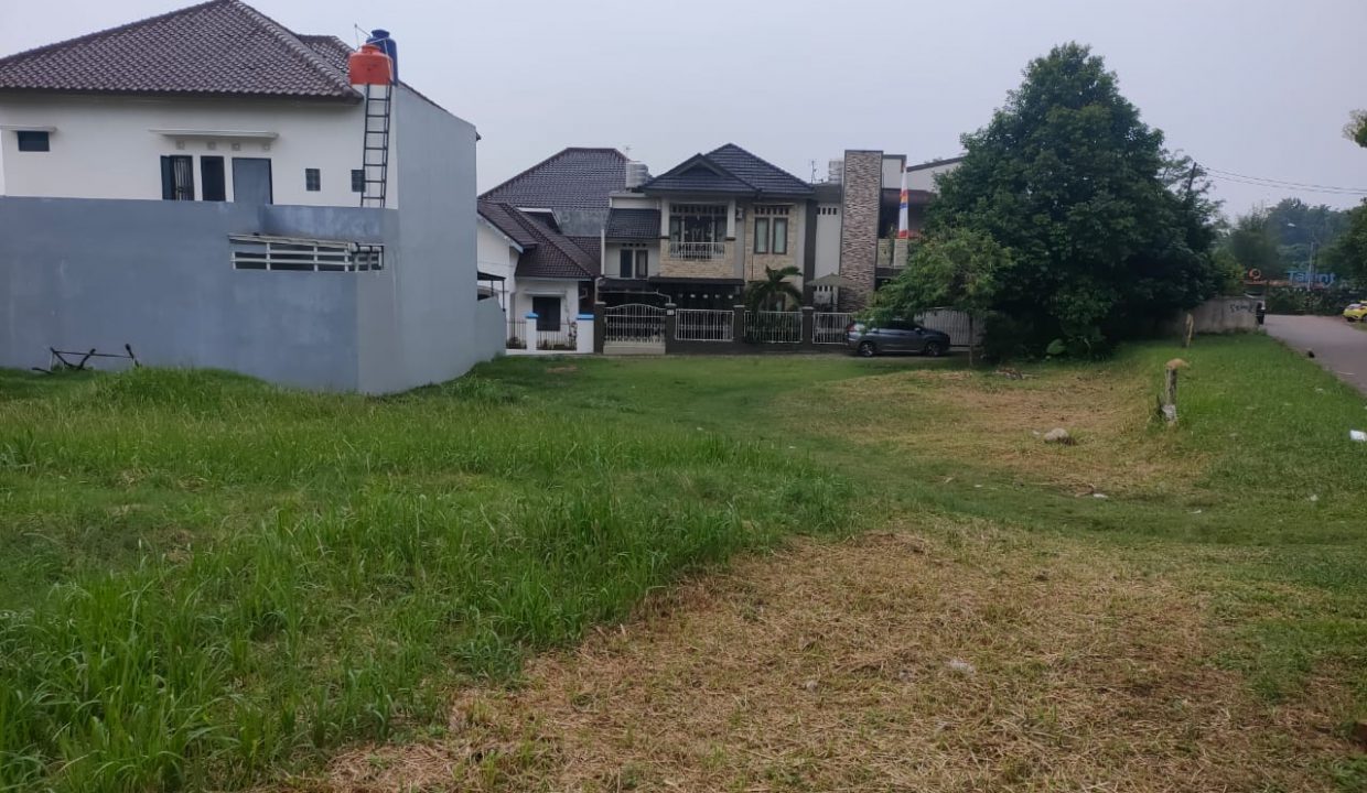 Putri Kembang Dadar (3)