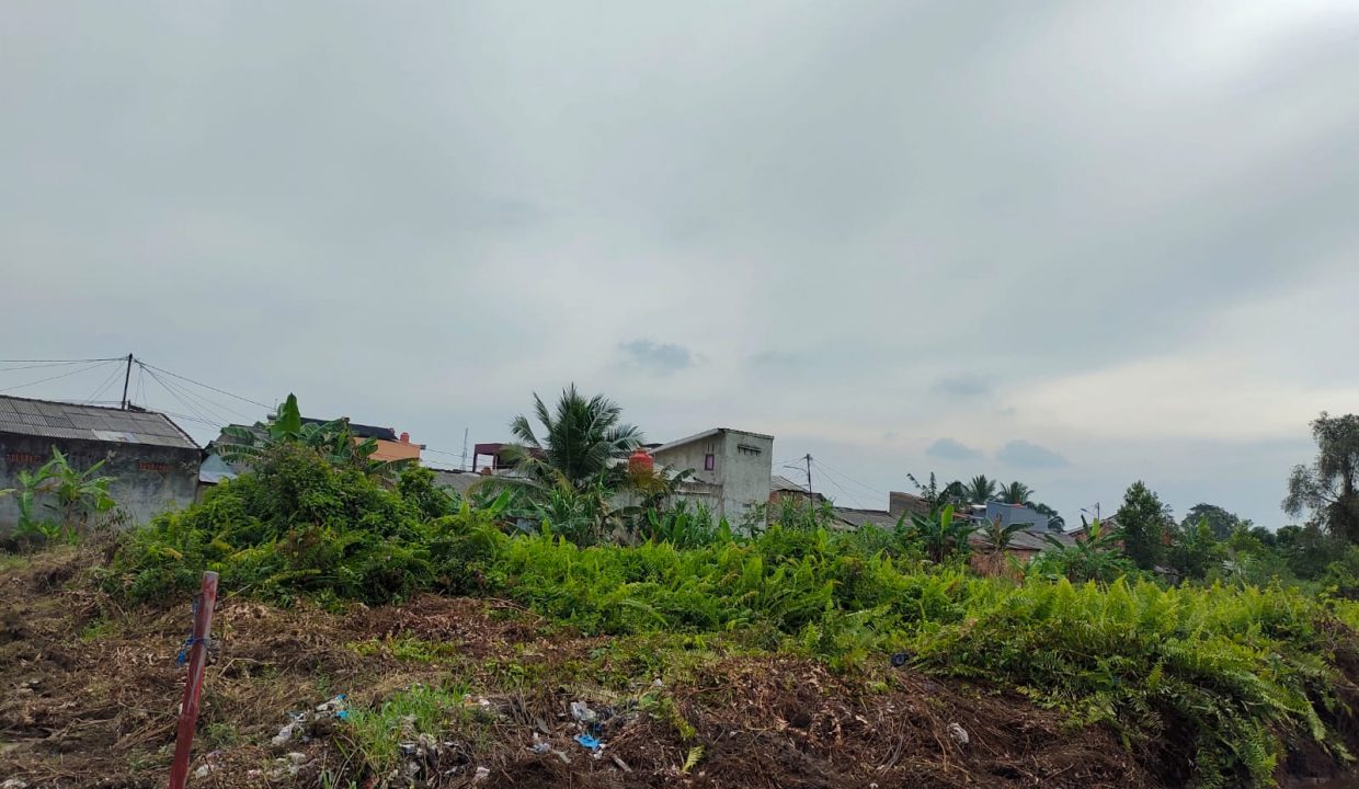 Tanah Sematang Borang Sako - Income properti (4)