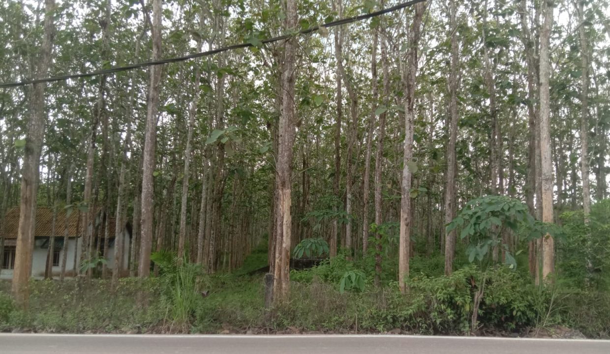 DIJUAL RUMAH KOMPLEKS PANGERAN PERMAI JALAN SAKO BARU (2)