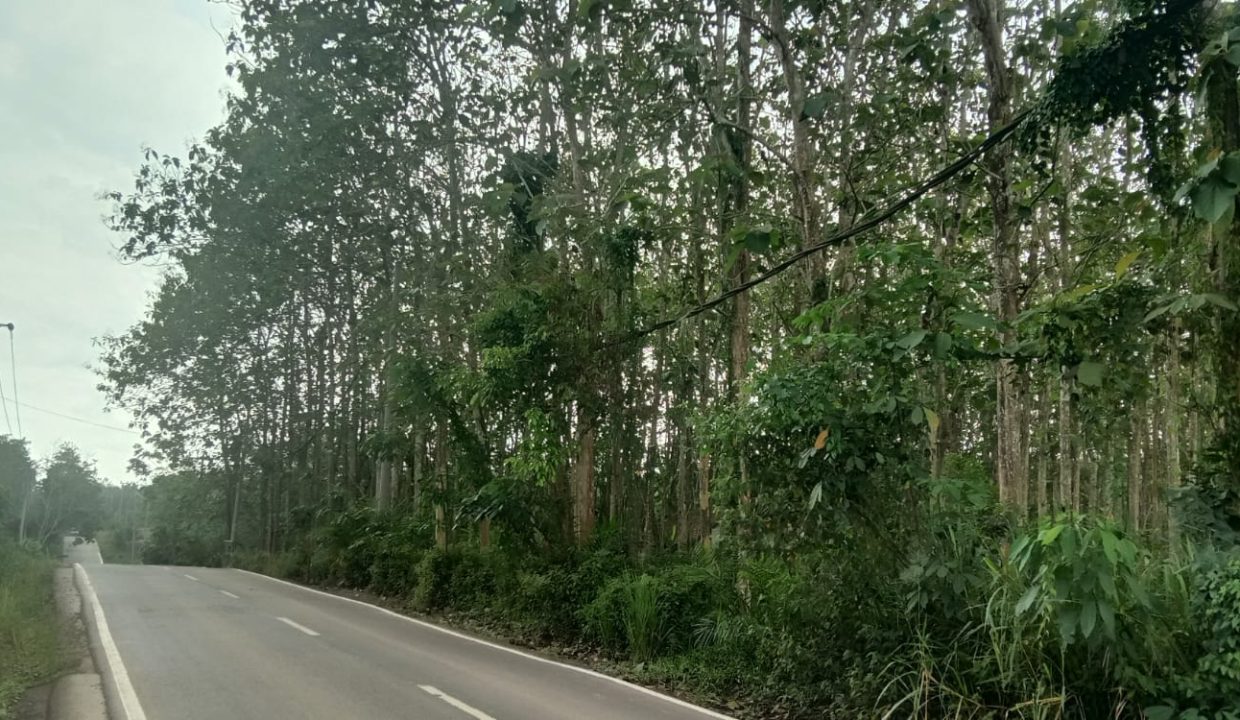 DIJUAL RUMAH KOMPLEKS PANGERAN PERMAI JALAN SAKO BARU (5)