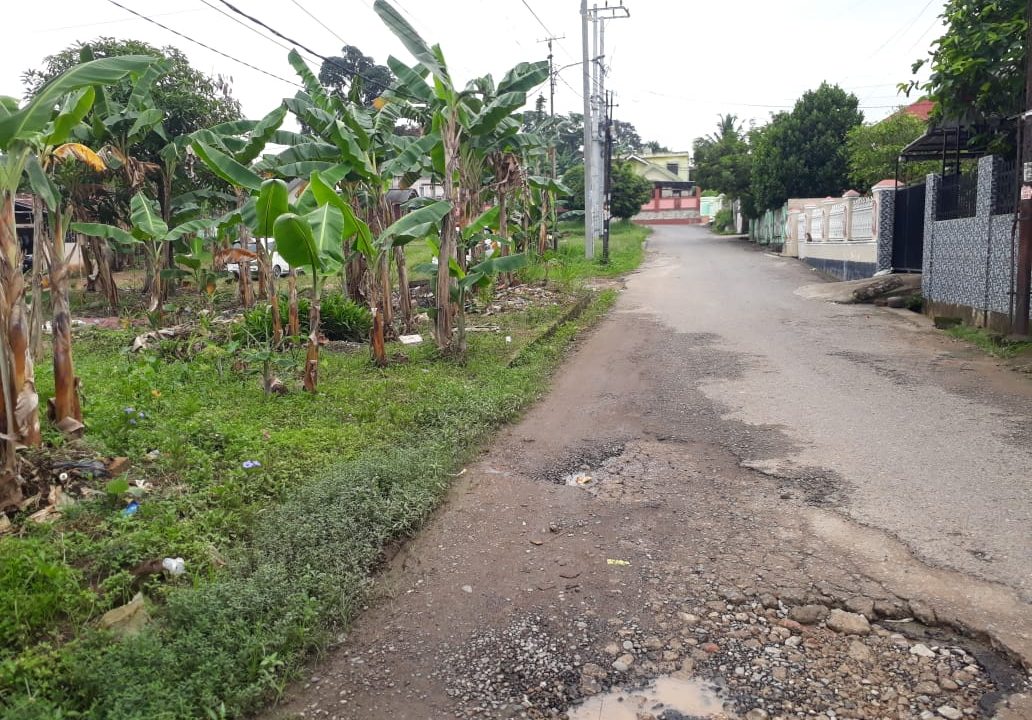 Jalan Gotong Royong Demang Lebar Daun (2)