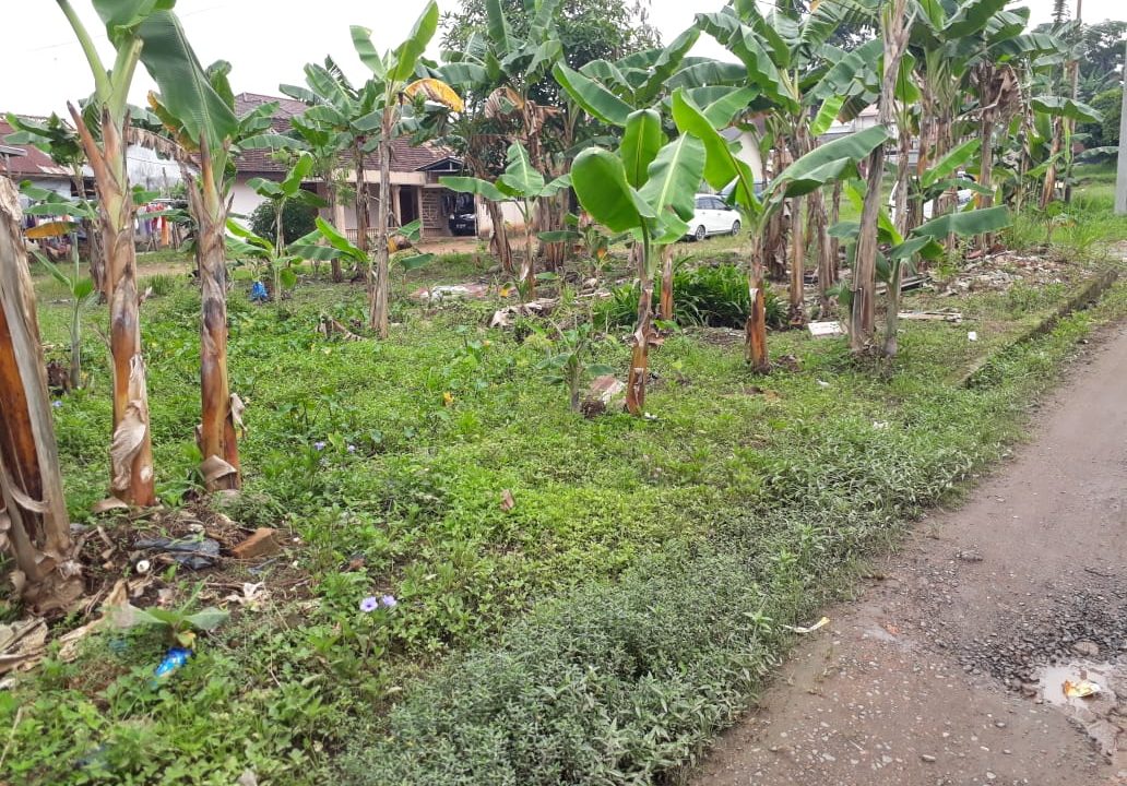 Jalan Gotong Royong Demang Lebar Daun (4)