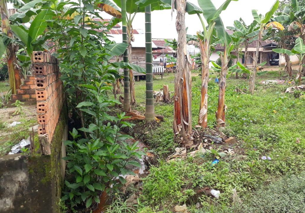 Jalan Gotong Royong Demang Lebar Daun (5)