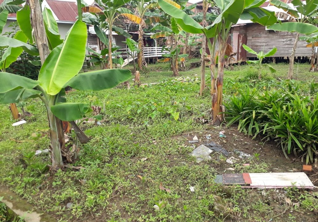 Jalan Gotong Royong Demang Lebar Daun (6)