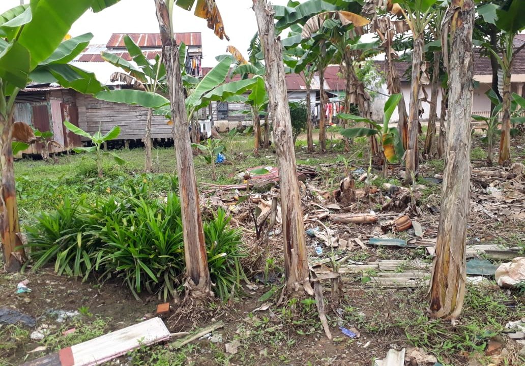 Jalan Gotong Royong Demang Lebar Daun (7)