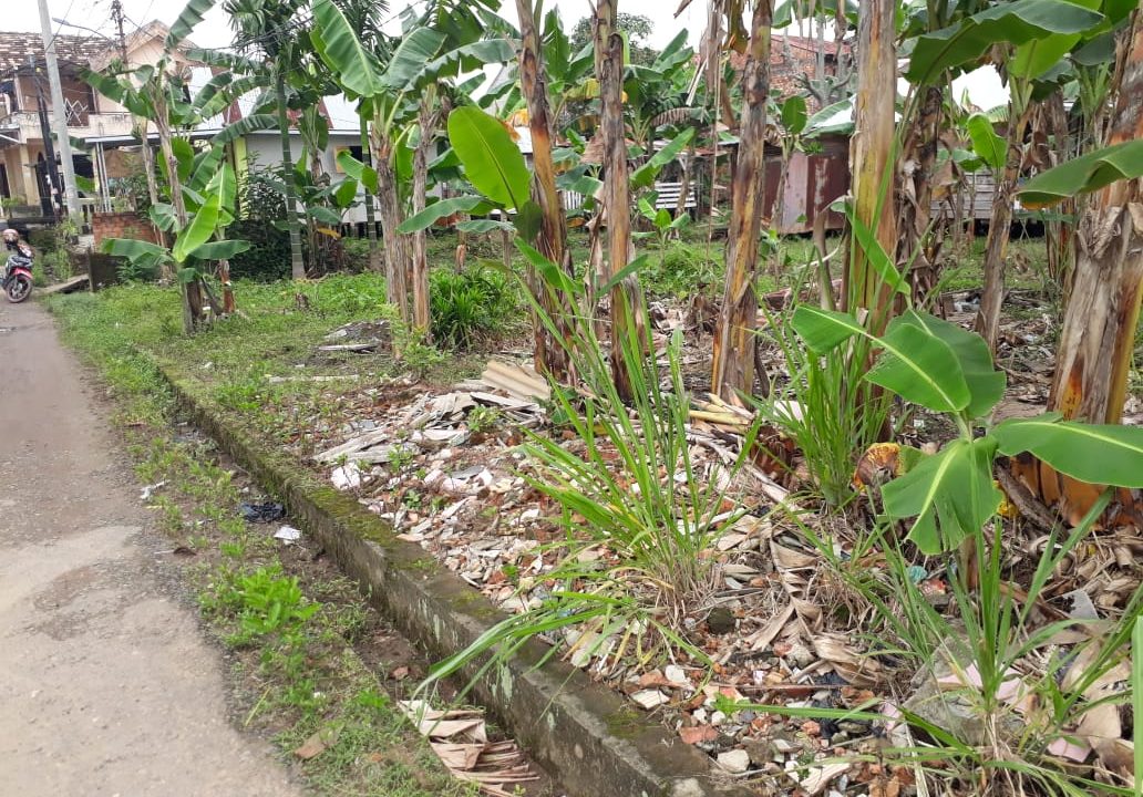 Jalan Gotong Royong Demang Lebar Daun (8)