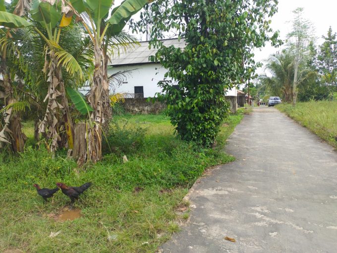 Dijual Tanah Plus Bedeng 2 Pintu di Jalan Rawasari Lorong Teratai Palembang