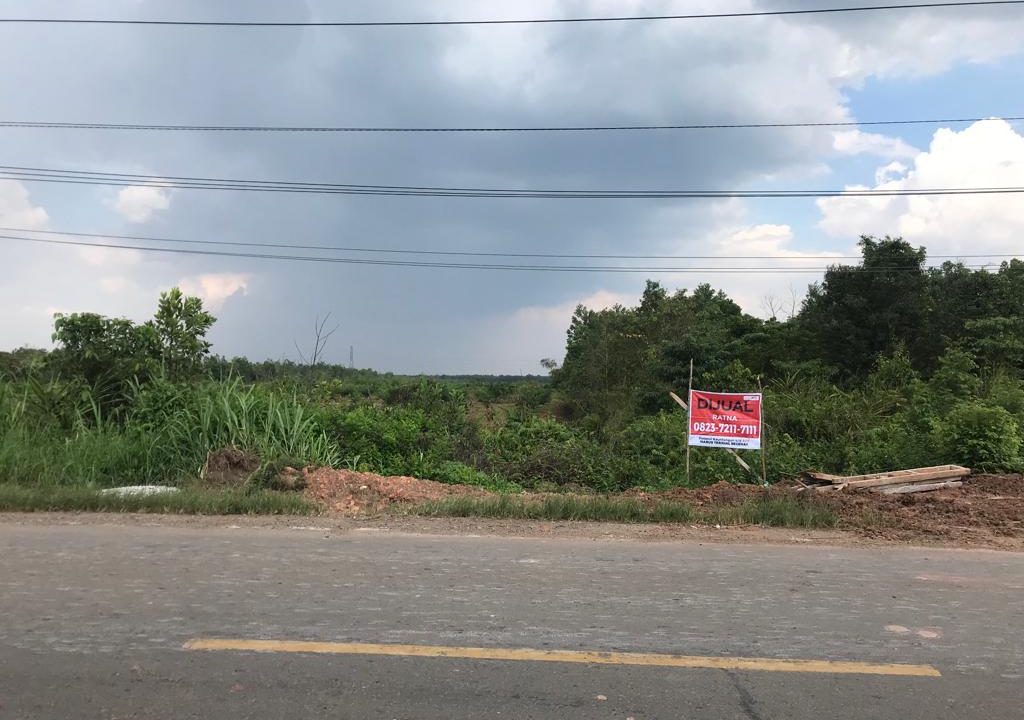 Dijual Cepat Lahan 2 Hektare kurang (1)