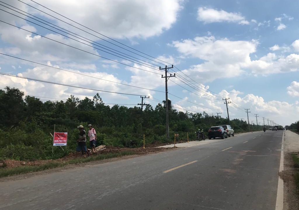 Dijual Cepat Lahan 2 Hektare kurang (4)