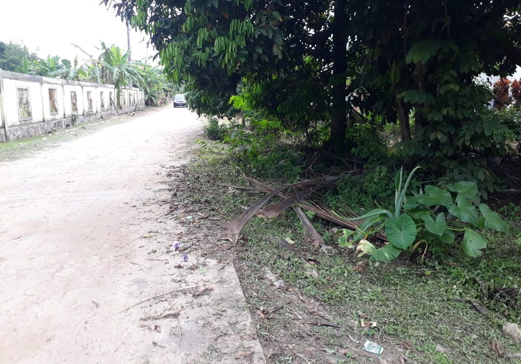 Dijual Lahan Luas 1400m2 Jalan Padat Karya Talang Jambe Palembang (3)