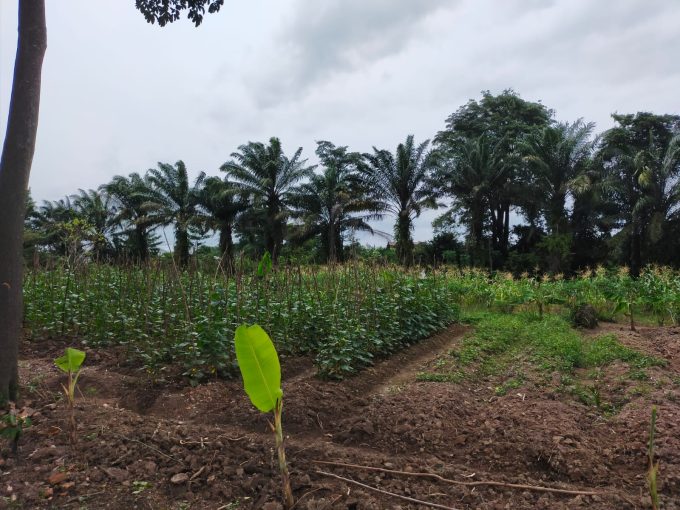Dijual Lahan Siap Bangun Lokasi Talang Buluh Banyuasin Palembang