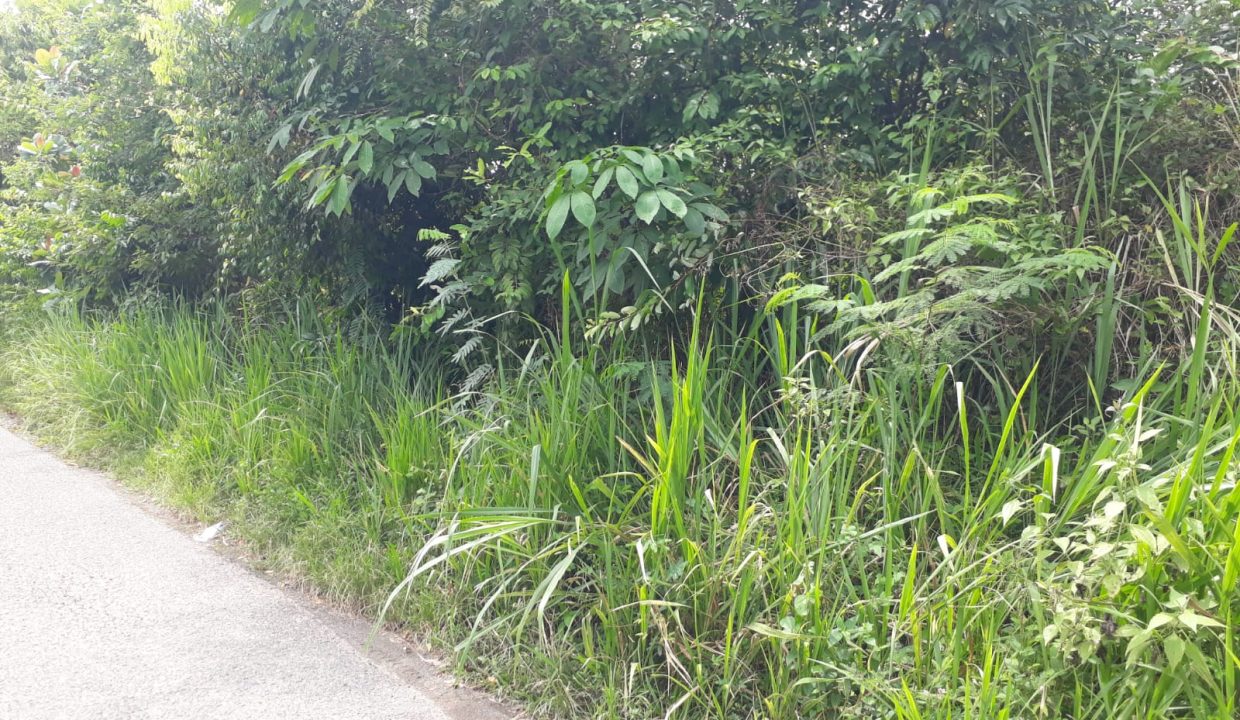 Dijual Tanah Jalintim Palembang - Prabumulih (2)