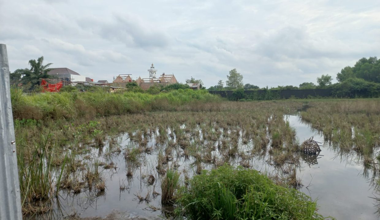Dijual Tanah di Jalan Panca Usaha belakang kampus UIN raden fatah jakabaring Palembang (2)
