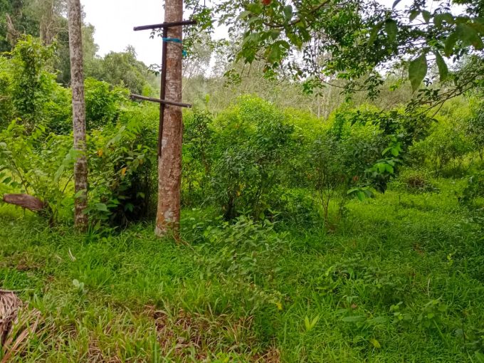 Dijual Tanah di Jalan Talang Kepuh Gandus Palembang