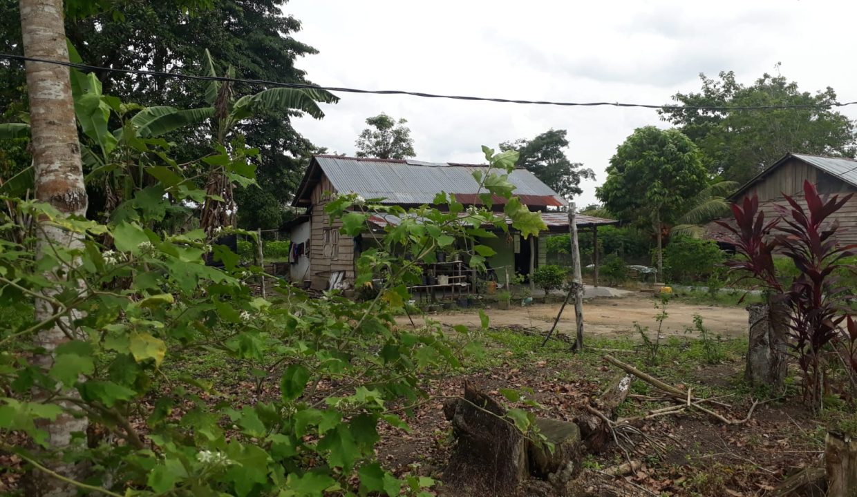Tanah Indralay (11)