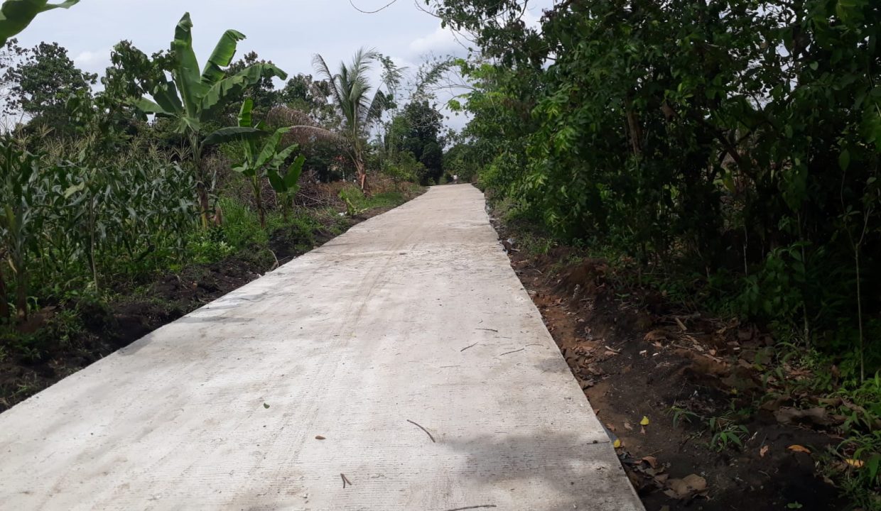 Tanah Indralay (12)