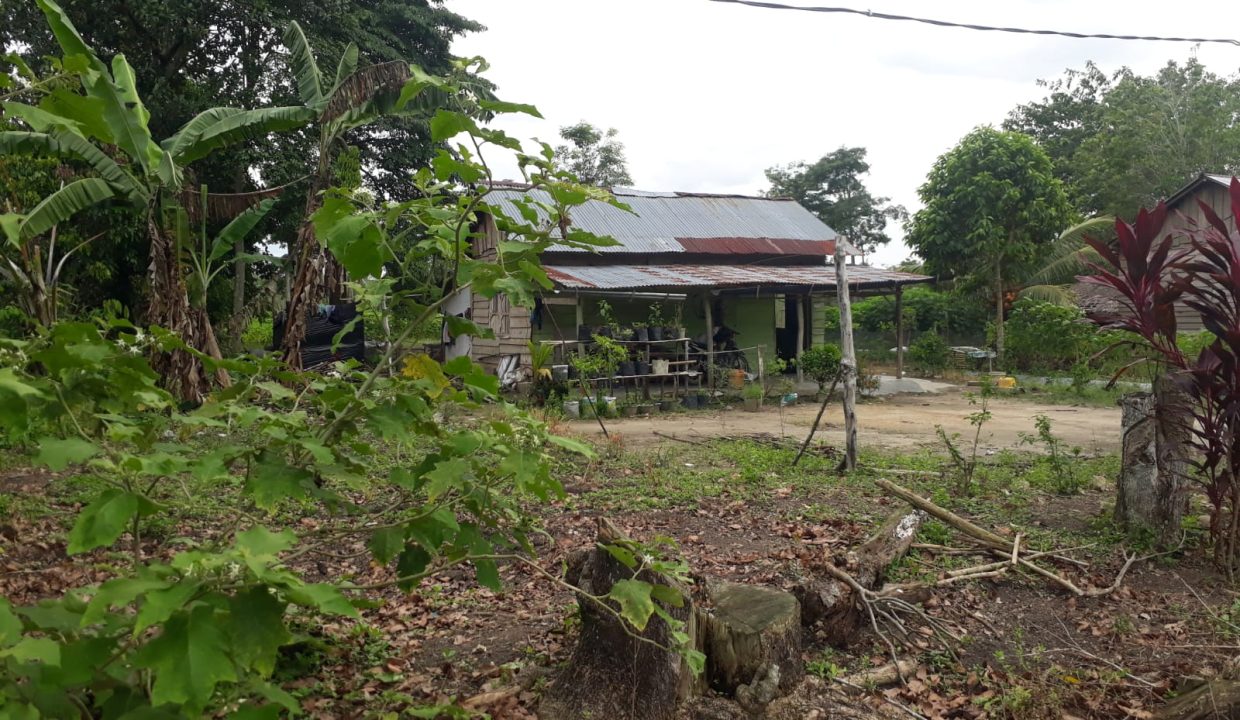 Tanah Indralay (9)