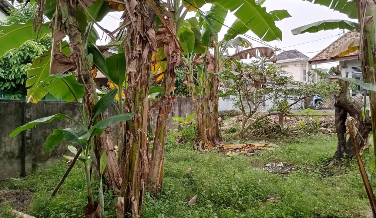 Tanah Jalan Sako (4)