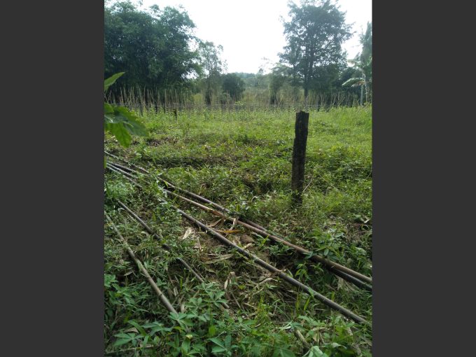 Dijual Tanah Kaplingan Tanjung Barangan Bukit Baru palembang