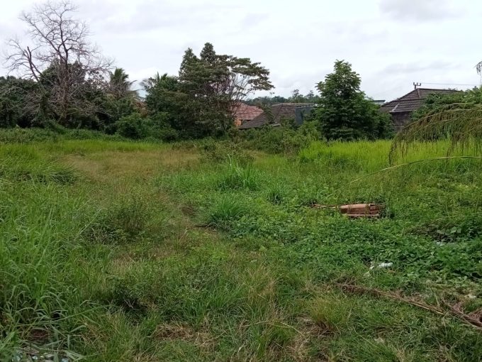 Dijual Tanah Keras Muara Siban Lahat