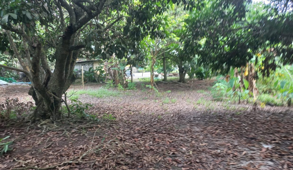 Dijual Tanah 4 hektar di depan PT Arwana keramik ogan ilir indralaya (4)