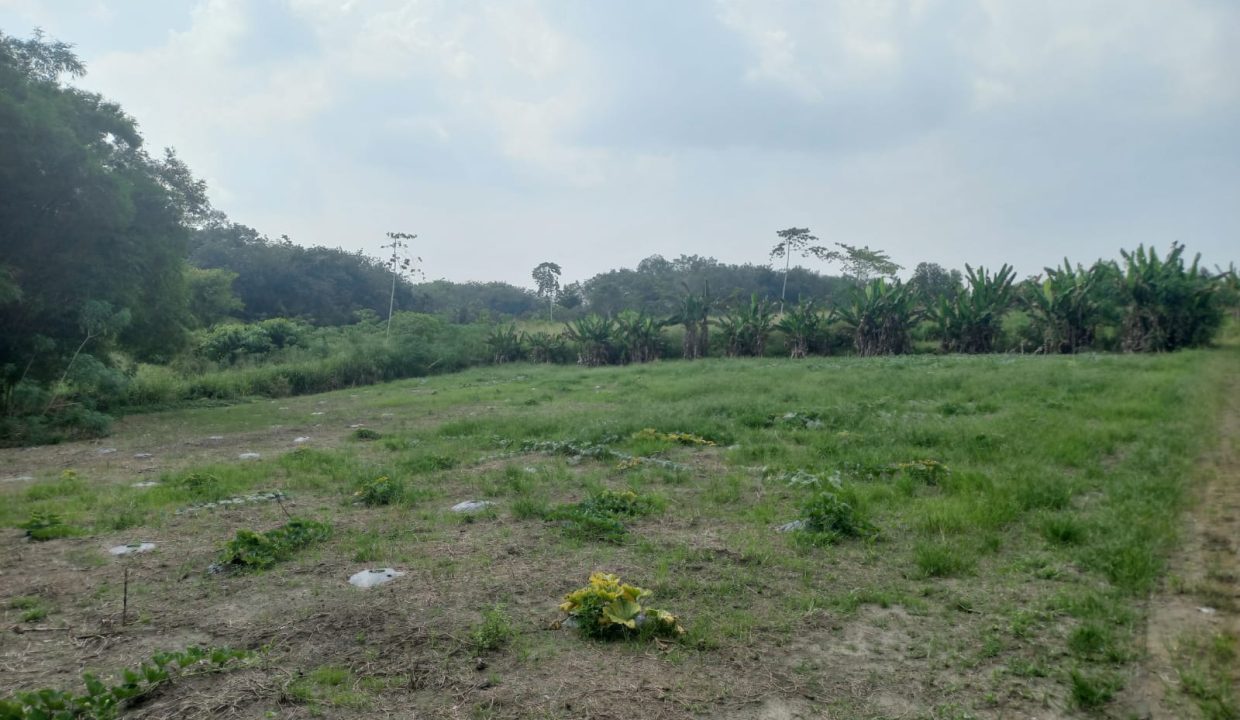 Dijual Tanah 4 hektar di depan PT Arwana keramik ogan ilir indralaya (5)