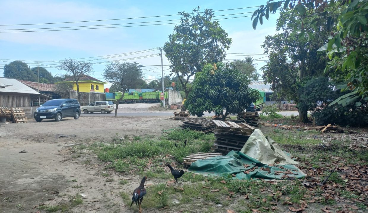 Dijual Tanah 4 hektar di depan PT Arwana keramik ogan ilir indralaya (8)
