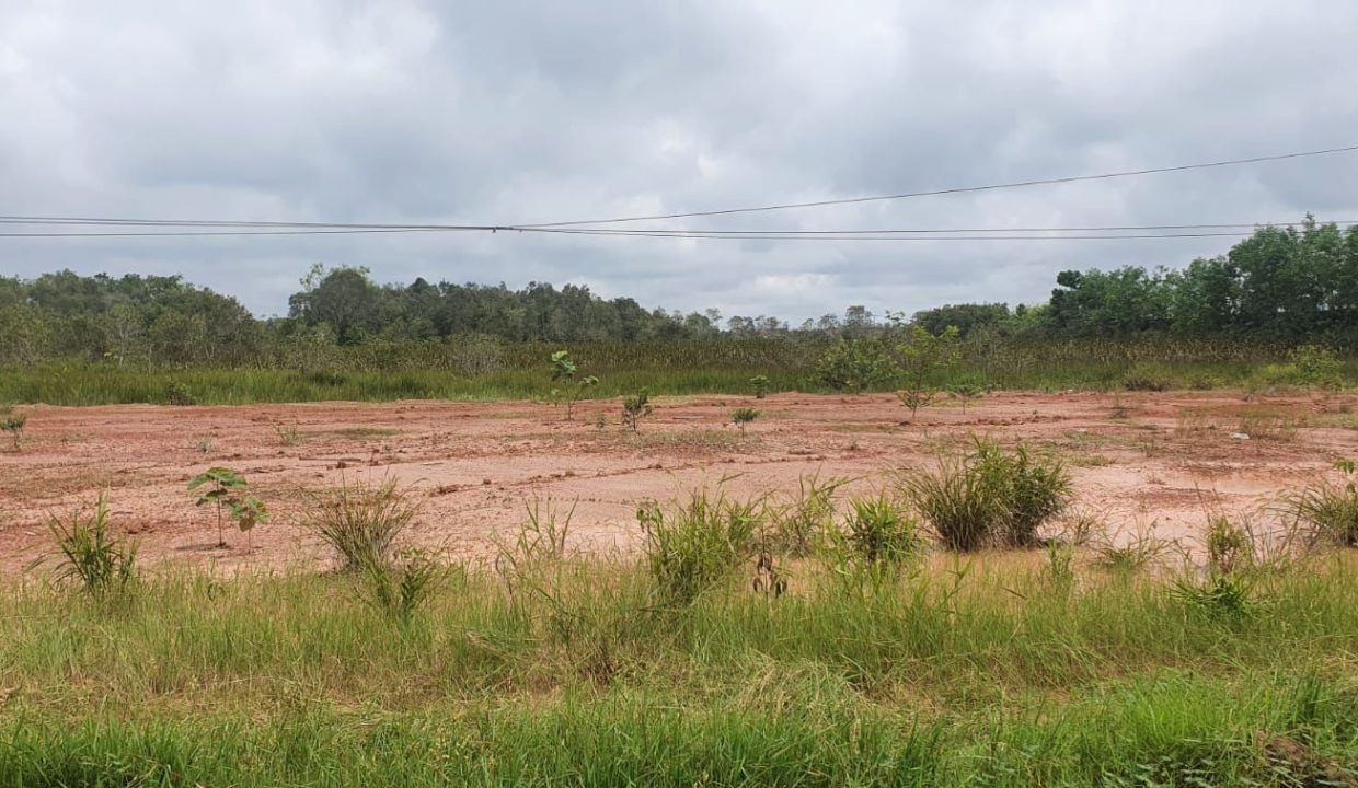 Dijual Tanah Bagus Untuk Dibangun Perumahan, Area Sungai Pinang Jakabaring Banyuasin (2)