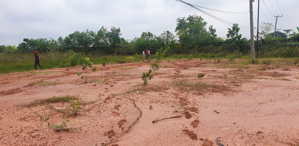 Dijual Tanah Bagus Untuk Dibangun Perumahan, Area Sungai Pinang Jakabaring Banyuasin (3)