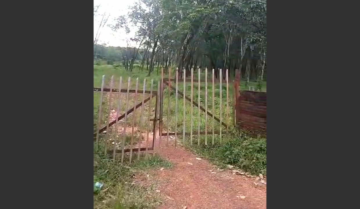 Dijual Tanah Lahan Kebun di Air Batu, Talang Kelapa Banyuasin (4)