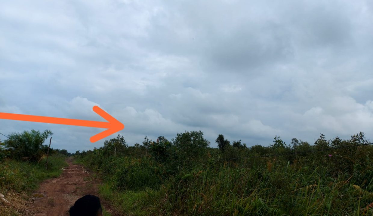 Dijual Tanah Luas 12.4 Ha di Jalan Tanjung Api Api Km 8.5 Gasing Talang Kelapa Banyuasin (1)