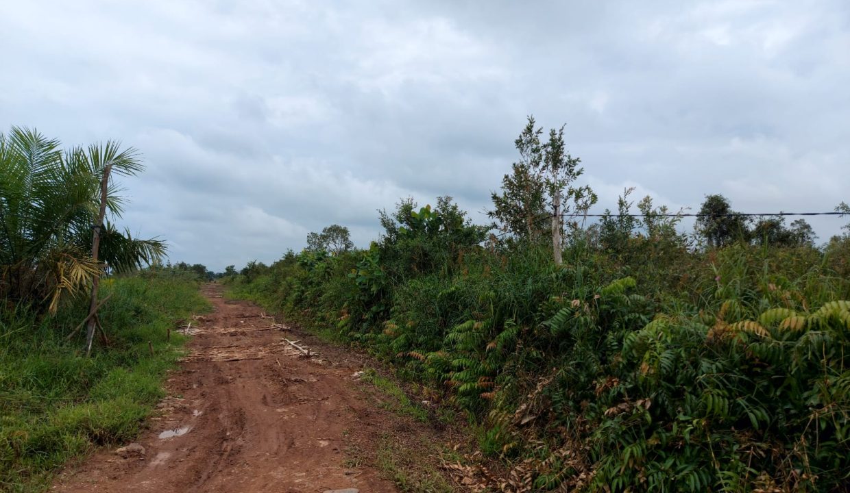 Dijual Tanah Luas 12.4 Ha di Jalan Tanjung Api Api Km 8.5 Gasing Talang Kelapa Banyuasin (4)