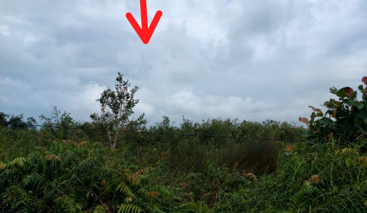 Dijual Tanah Luas 12.4 Ha di Jalan Tanjung Api Api Km 8.5 Gasing Talang Kelapa Banyuasin (6)