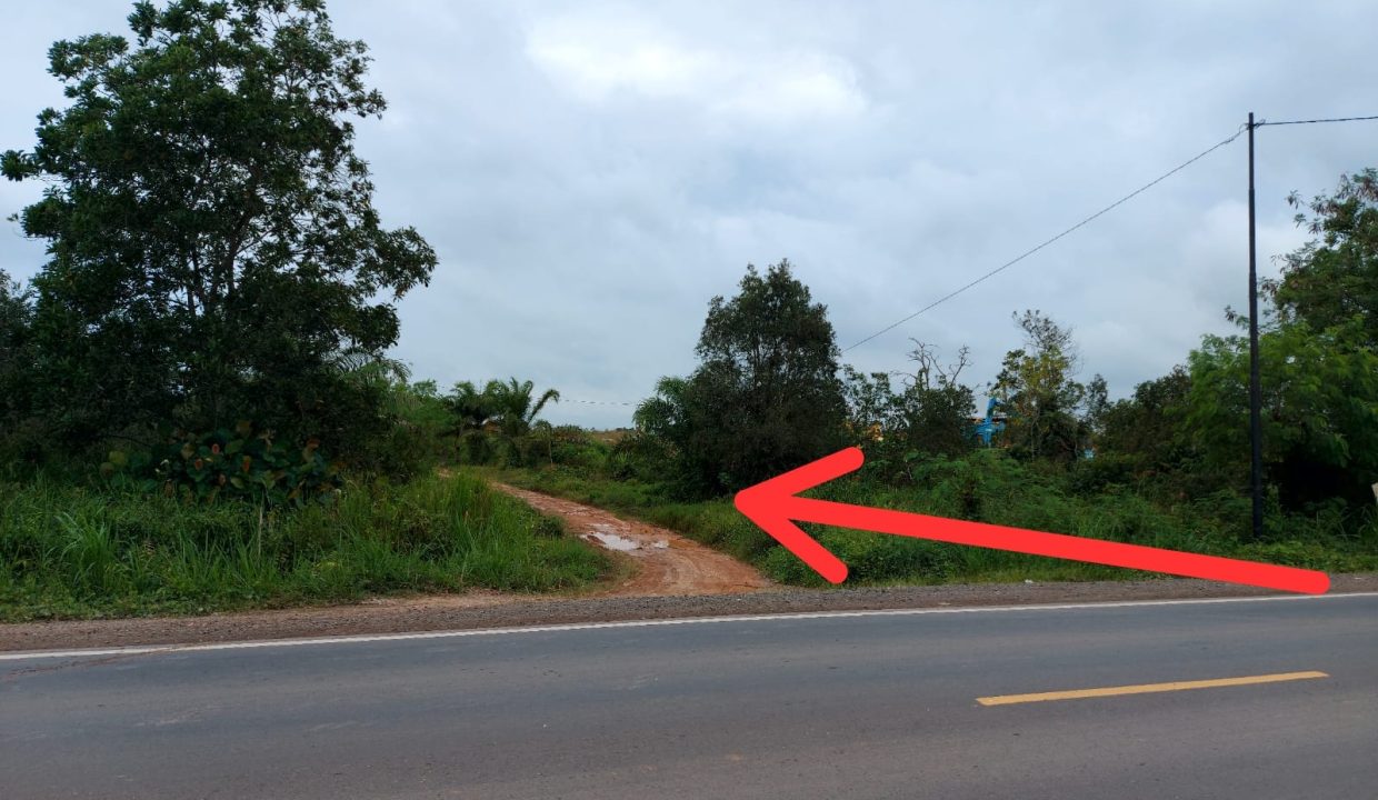 Dijual Tanah Luas 12.4 Ha di Jalan Tanjung Api Api Km 8.5 Gasing Talang Kelapa Banyuasin (7)