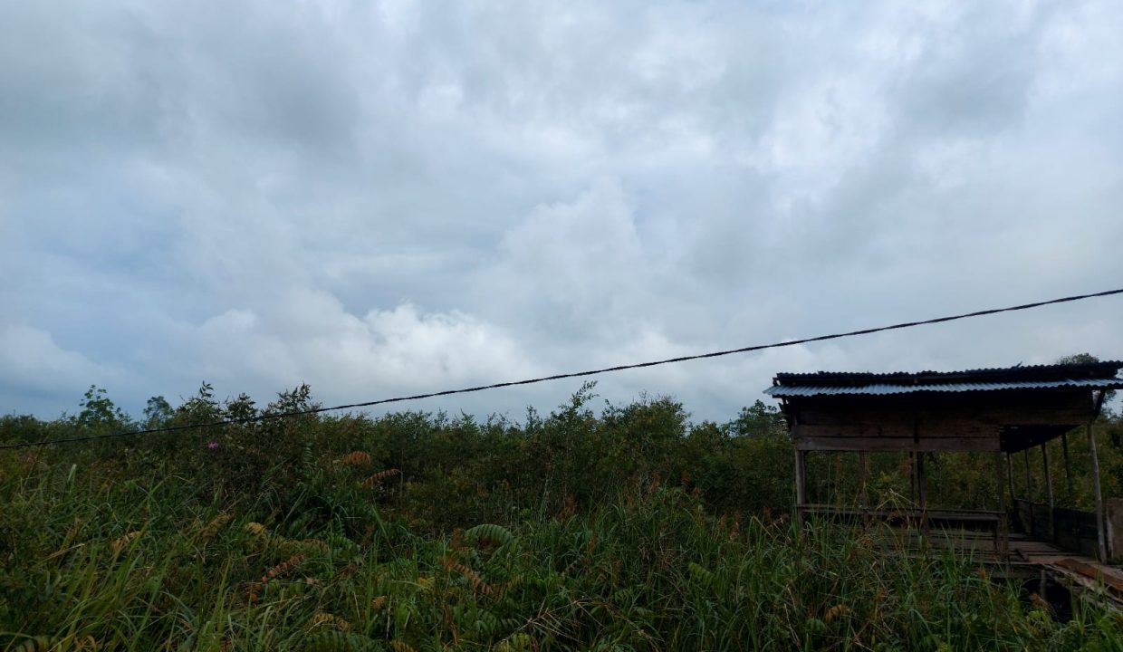 Dijual Tanah Luas 12.4 Ha di Jalan Tanjung Api Api Km 8.5 Gasing Talang Kelapa Banyuasin (8)