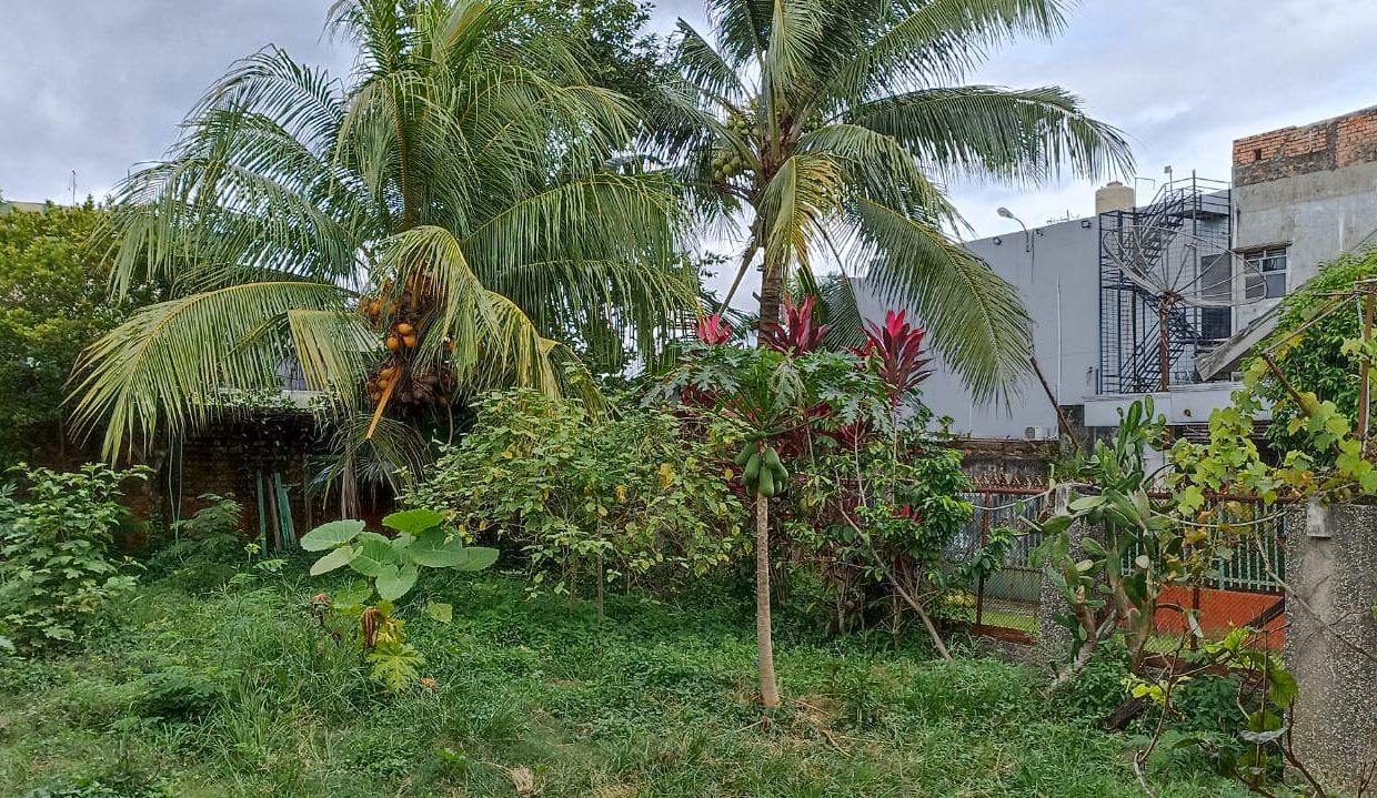 Rumah Besar jalan Kamboja (8)