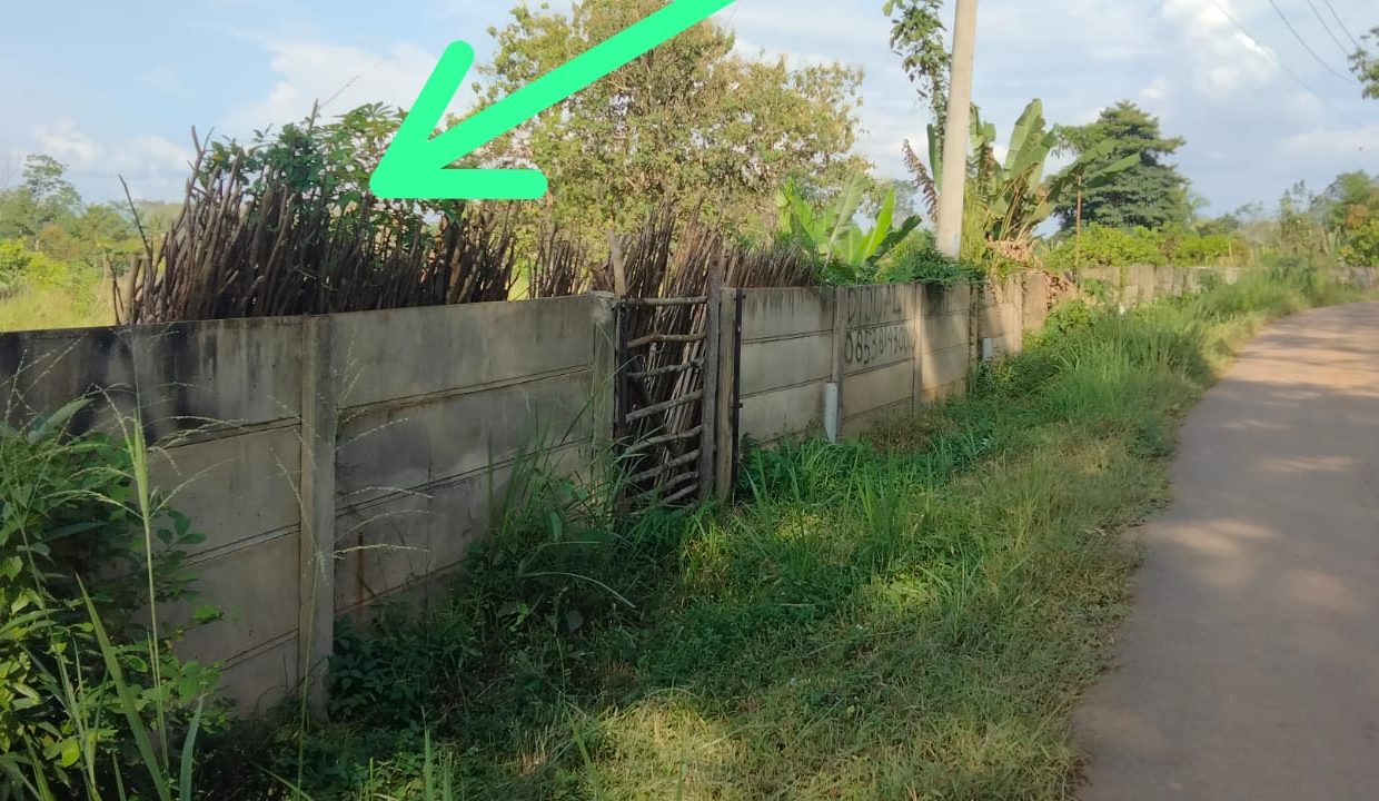 Tanah murah di Jl. Gandus -Talang Buluh Banyu Asin lokasi di Deket Markas Raider 200 TNI AD (1)