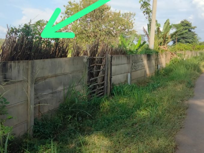 Dijual Tanah Murah Jalan Gandus Talang Buluh Banyuasin dekat Yonif Raider