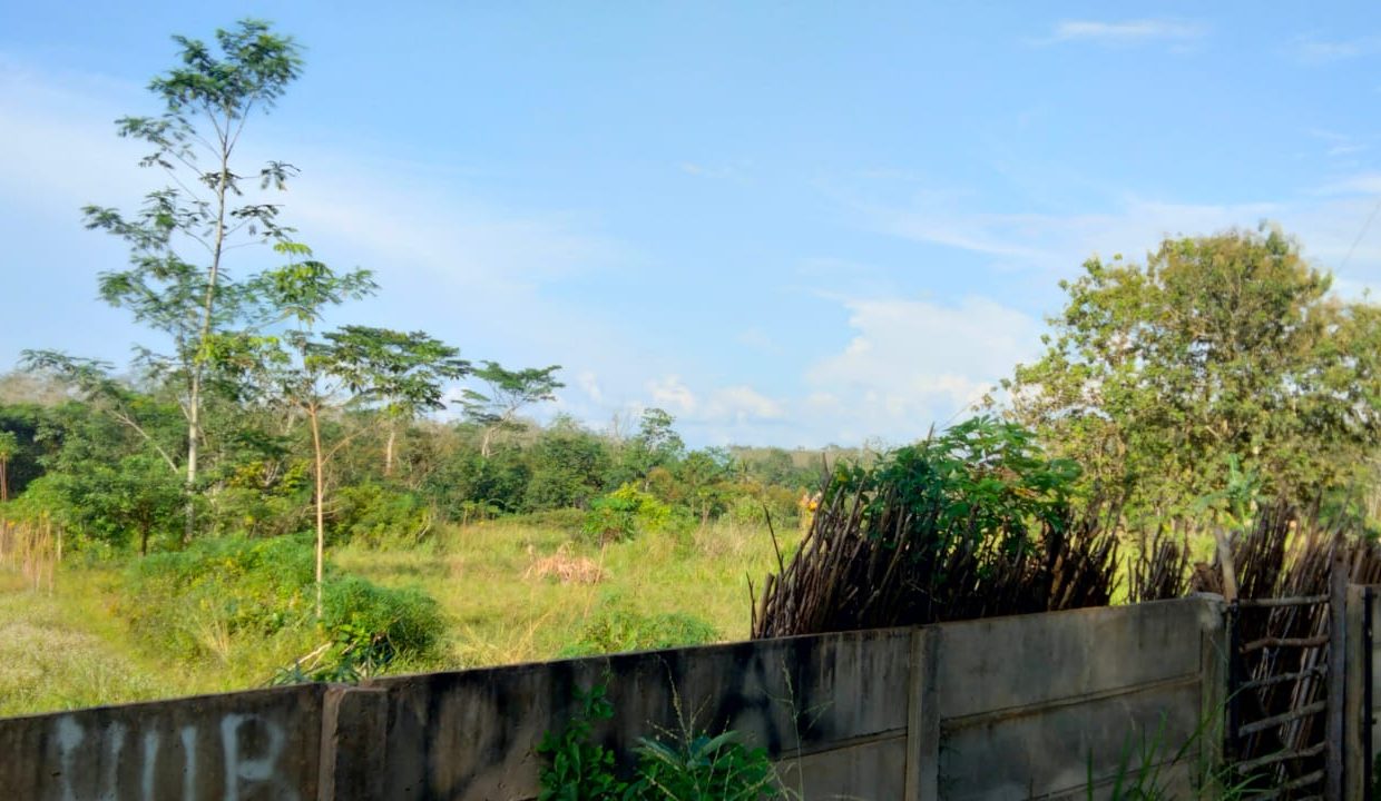 Tanah murah di Jl. Gandus -Talang Buluh Banyu Asin lokasi di Deket Markas Raider 200 TNI AD (4)