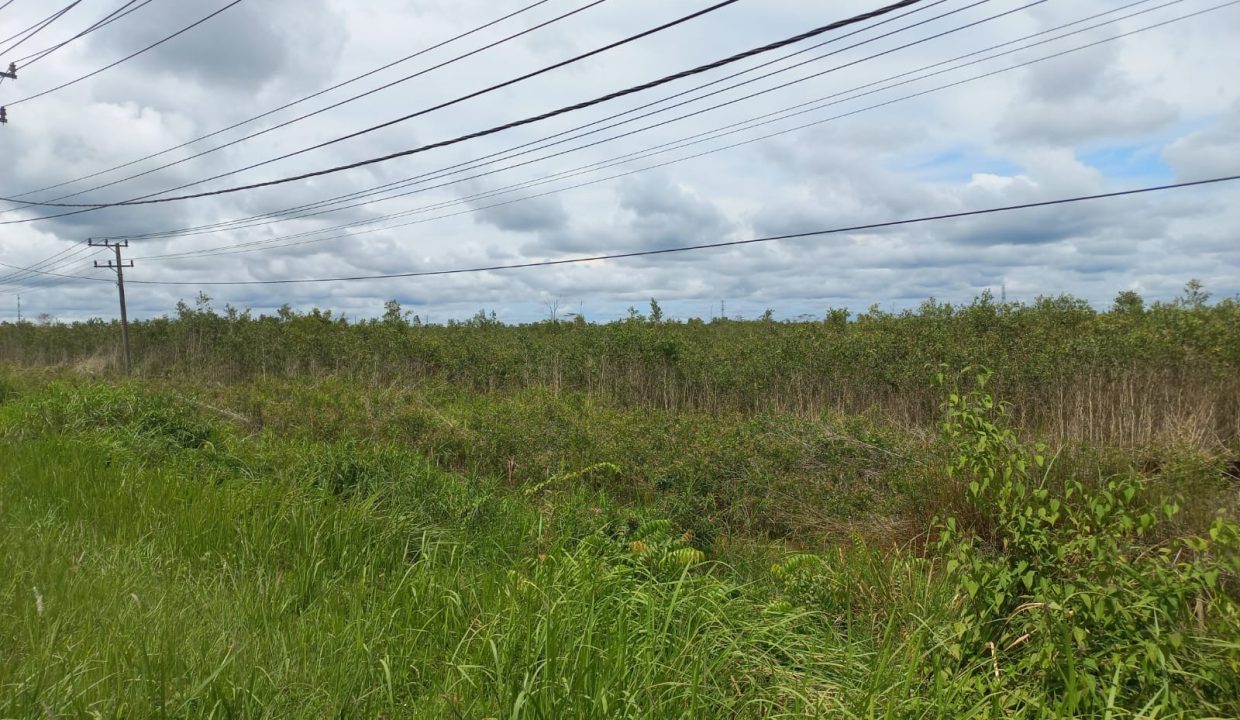 Tanah murah di Jl. Tanjung Api Api KM 9 Banyu Asin (2)