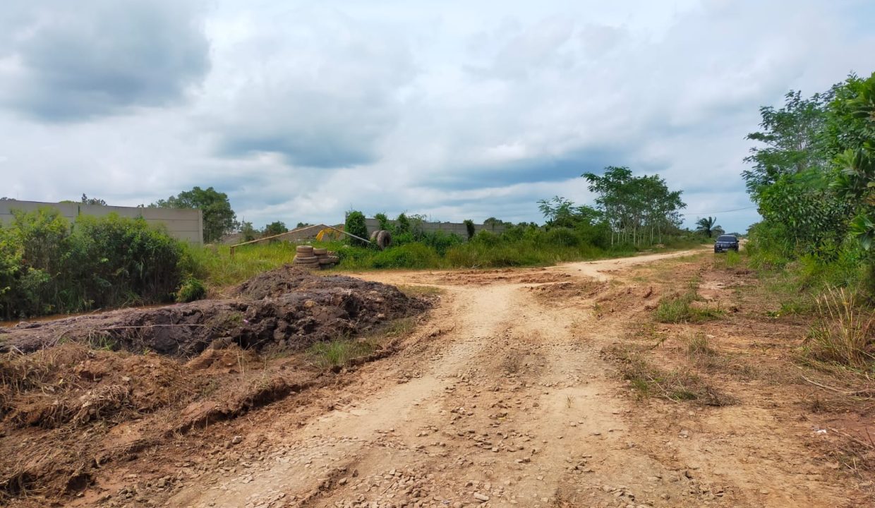 Tanjung api api (3)