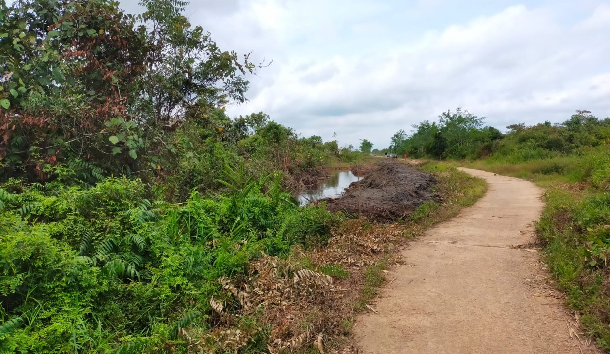 Tanjung api api (5)