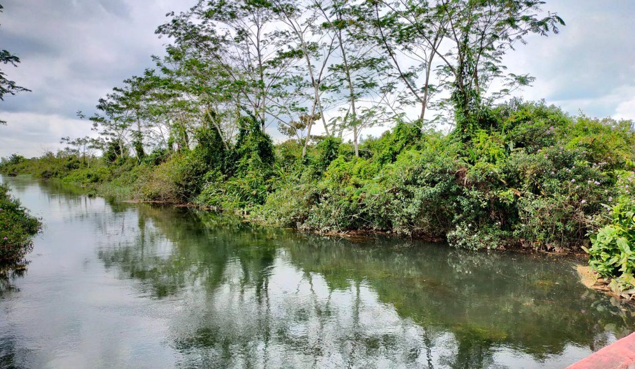 Tanjung api api (7)
