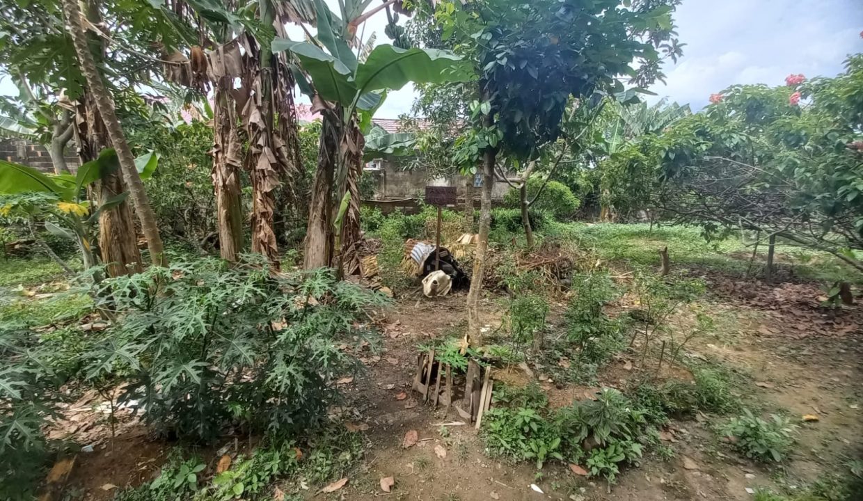 Dijual murah 4 kavling tanah siap bangun di jalan kebun bunga (1)