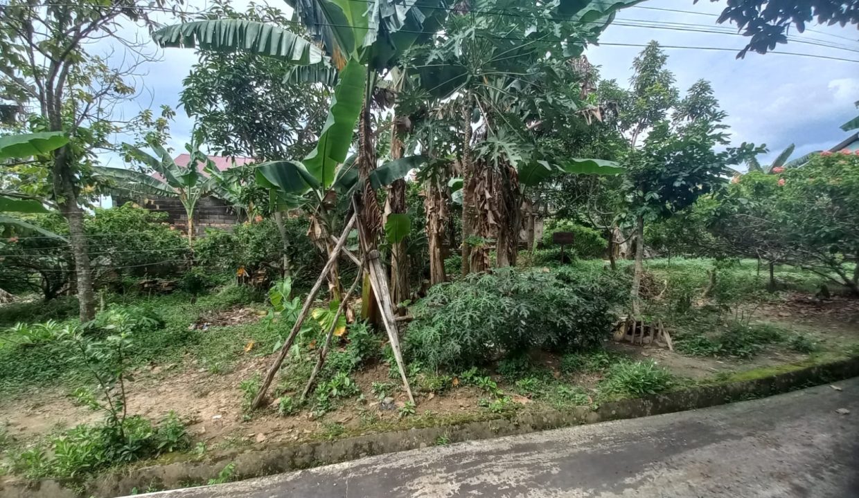 Dijual murah 4 kavling tanah siap bangun di jalan kebun bunga (2)