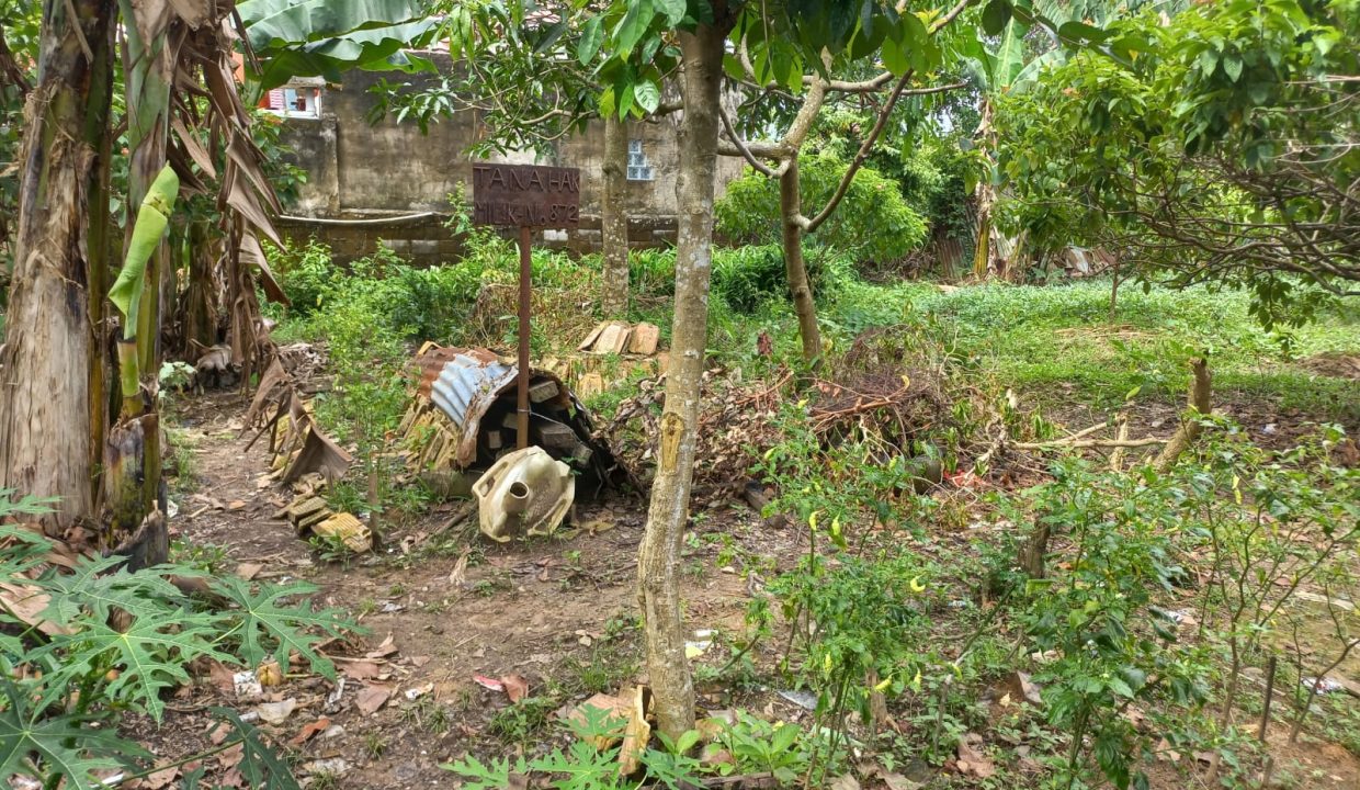 Dijual murah 4 kavling tanah siap bangun di jalan kebun bunga (3)