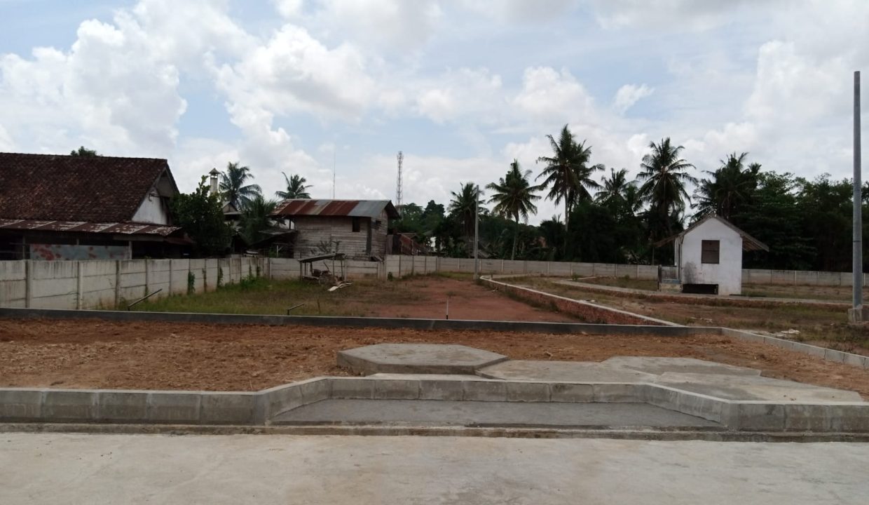 Jade Estate (1,0) (7)